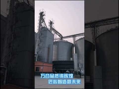 Máquina más seca agrícola de la calefacción caliente de la ráfaga del equipo de sequedad del maíz 500T/D
