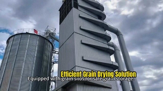 Juego completo de equipos de almacenamiento y secado de arroz y maíz de 500 toneladas Control electrónico inteligente