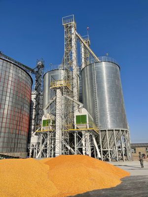 Capacidad de manejo 100-1000 T/D Máquina secadora de maíz Durabilidad de grado industrial para el proceso de secado de maíz