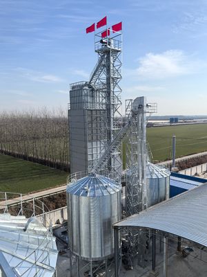 600 toneladas del arroz de máquina del secador, economía de combustible centrífuga doble del sistema de sequía del arroz