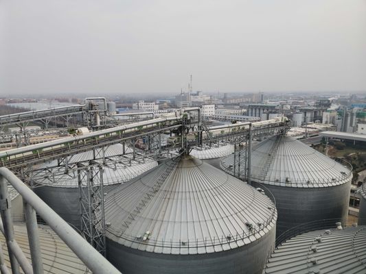 Silo de acero con tecnología de sellado hermético y anti-daños para la preservación crucial en las industrias agrícolas