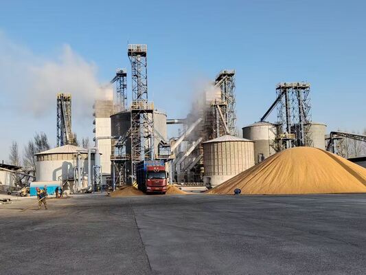 El secado suave a baja temperatura preserva la calidad superior del grano